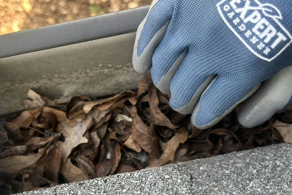 Gutter Cleaning Umstead